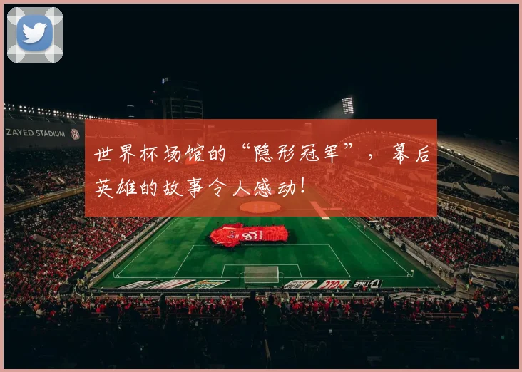 世界杯场馆的“隐形冠军”,幕后英雄的故事令人感动!