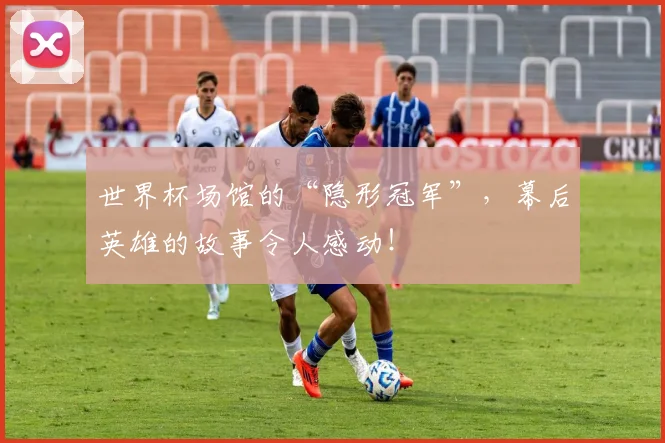 世界杯场馆的“隐形冠军”，幕后英雄的故事令人感动！
